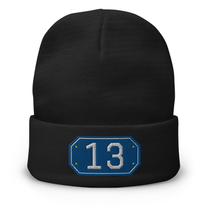Custom Passport Beanie