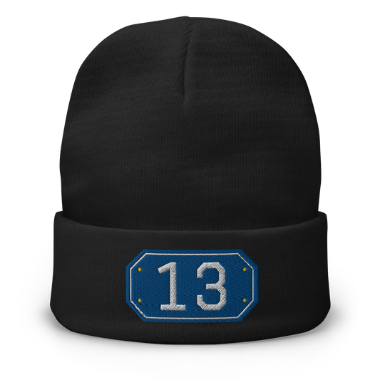 Custom Passport Beanie